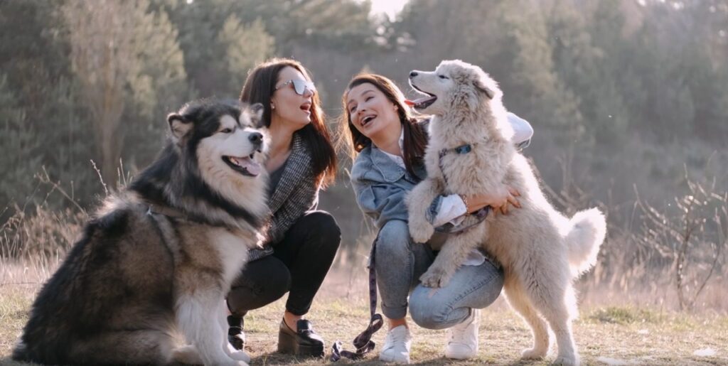 Country Pets